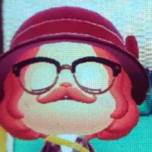 Meet your Posher, Maggie